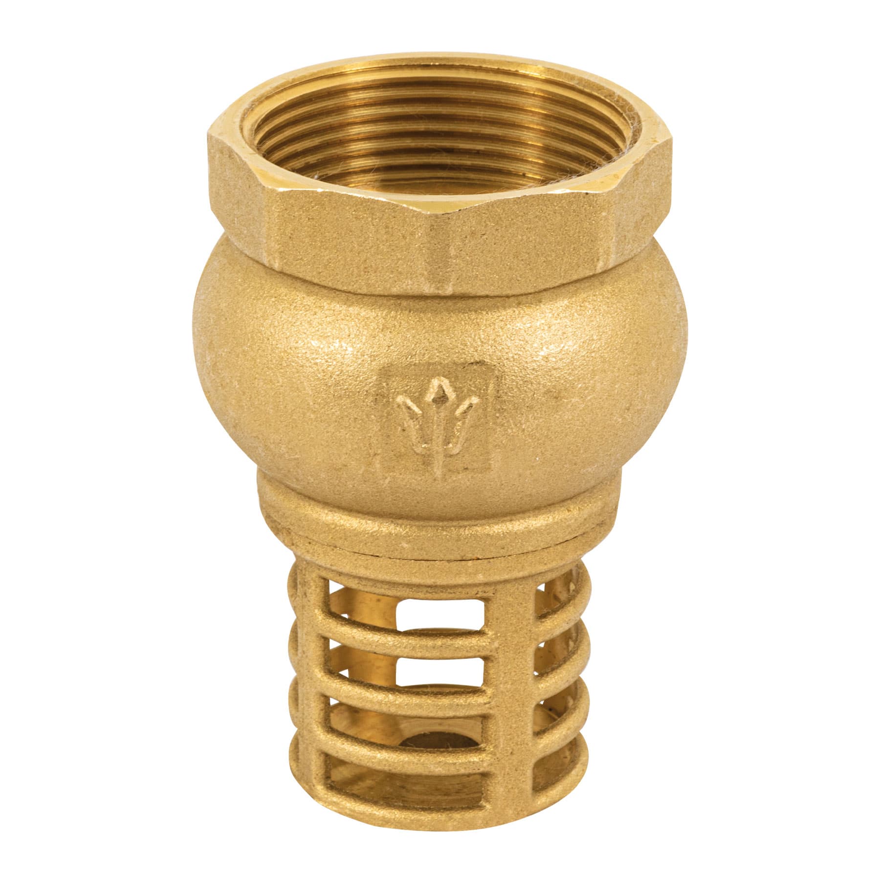 PICHANCHA CON REJILLA DE LATÓN 1-1/2', FOSET