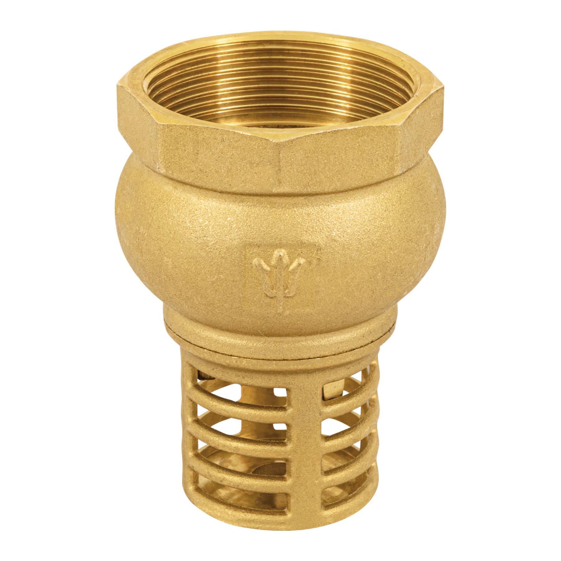 PICHANCHA CON REJILLA DE LATÓN 2', FOSET